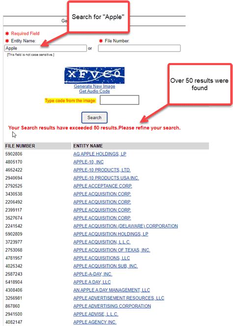 delaware corporation search pay