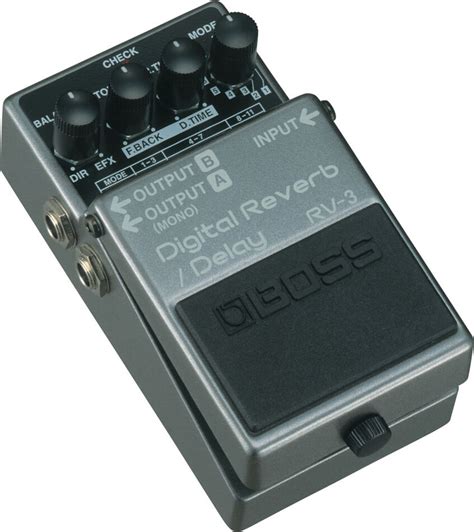 Delay Reverb Boss