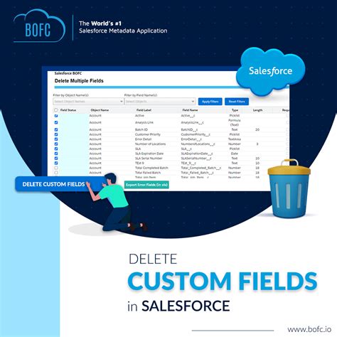 Delete Custom Field In Salesforce