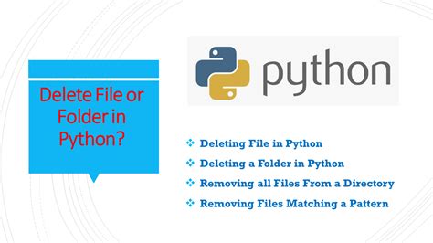 Delete File From Folder In Python
