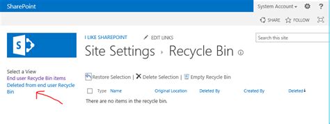 Delete Files From Sharepoint Recycle Bin Powershell