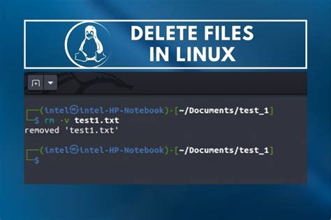 Delete Files With Linux