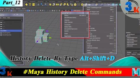 Delete History Python Maya