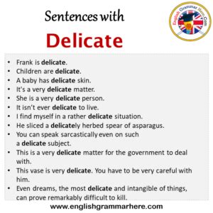 delicate in a sentence examples