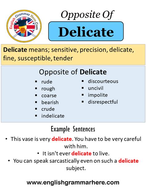 delicate meaning with example
