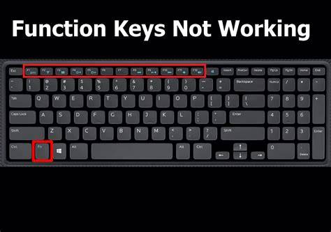 dell laptop sleep function key not working