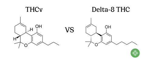 Delta 8 Vs Thc