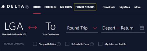 delta airlines check in online status