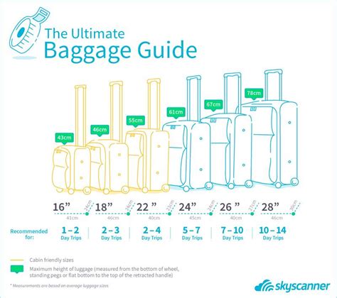 delta airlines international travel baggage