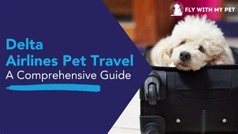 delta airlines pet travel info