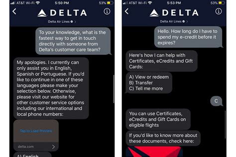 delta customer service chat