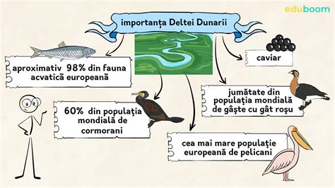 delta dunarii informatii pentru copii