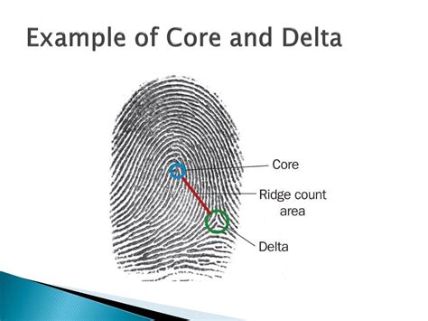 delta fingerprint