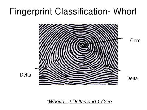 delta fingerprints