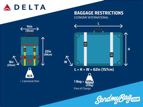 delta international flights baggage