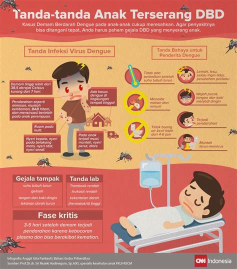 demam berdarah dengue pada anak
