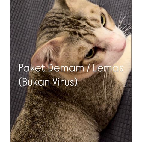 Demamm