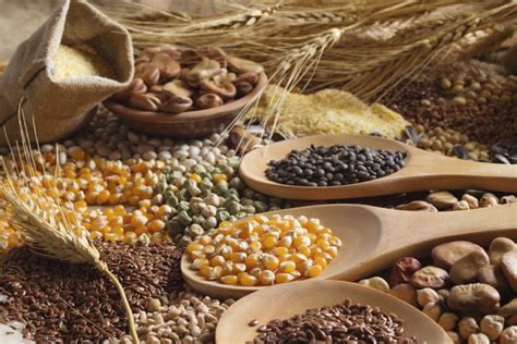 demand for cereal grains and oilseeds
