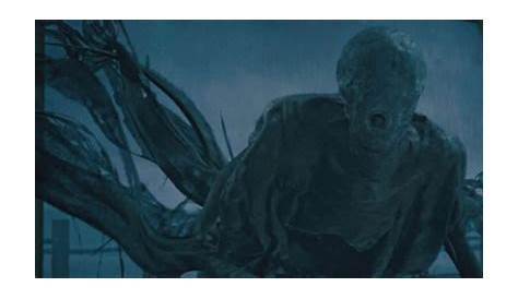 Image Dementor's mouth.jpg Harry Potter Wiki FANDOM