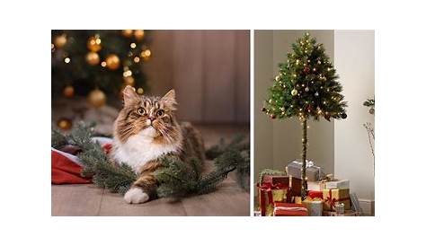 Déco de Noël insolite un sapin pour éviter à votre chat