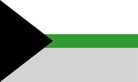 demiromantic flag color meaning