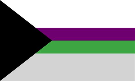 demisexual demiromantic flag