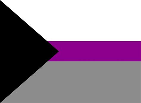 demisexual meaning and flag