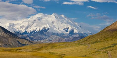 denali trips from anchorage