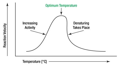 Denature Temperature