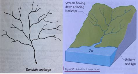 dendritic drainage pattern example