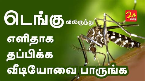 Papaya Leaf Juice Recipe For Dengue Mana Arogyam Telugu Health Tips