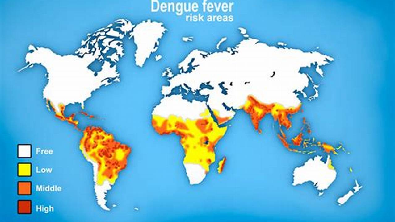Dengue Fever Map 2024