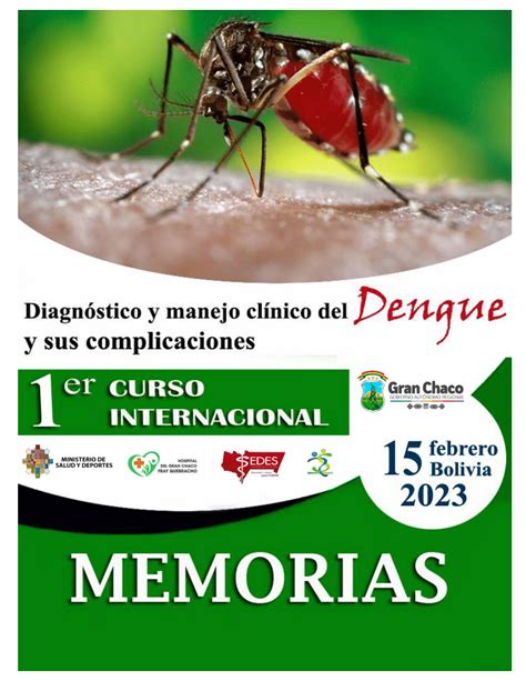 dengue 2023 gpc