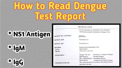 dengue blood test report