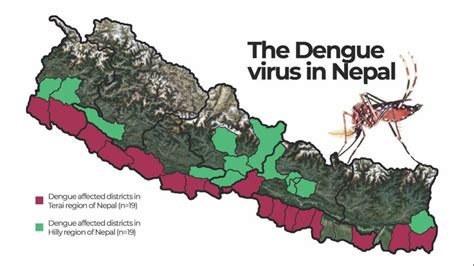 dengue cases in nepal 2023
