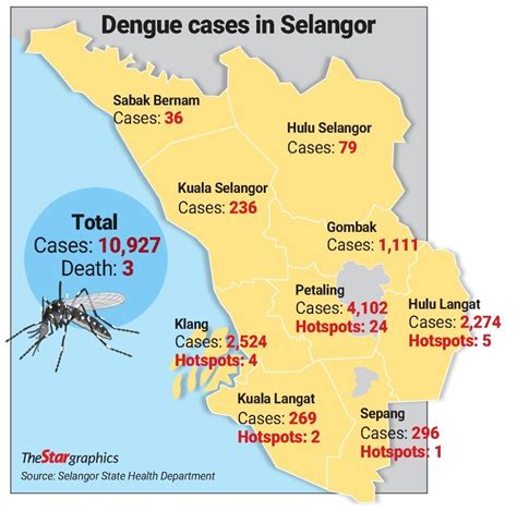 dengue cases in selangor