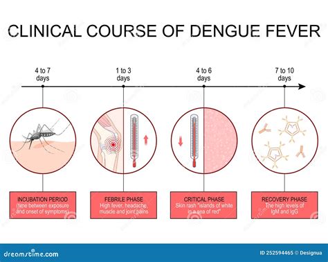 dengue course of illness