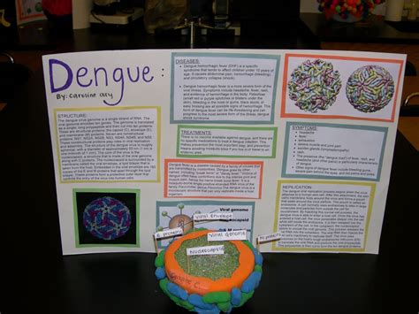 dengue disease project work