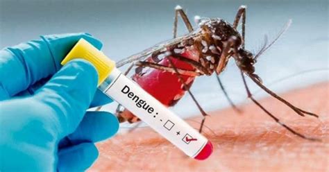 dengue en buenos aires