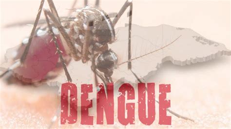 dengue en honduras 2023