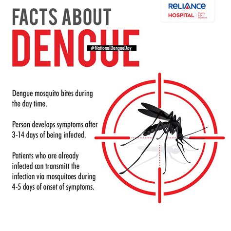 dengue facts did you know