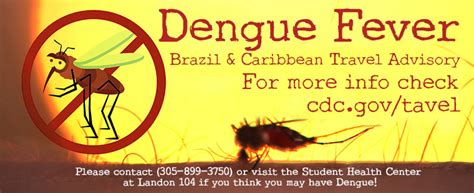 dengue fever brazil