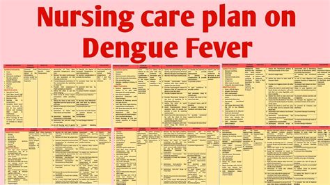 dengue fever care plan