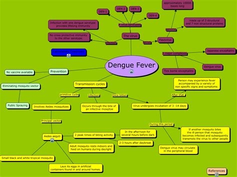 dengue fever concept map