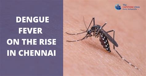 dengue fever in chennai