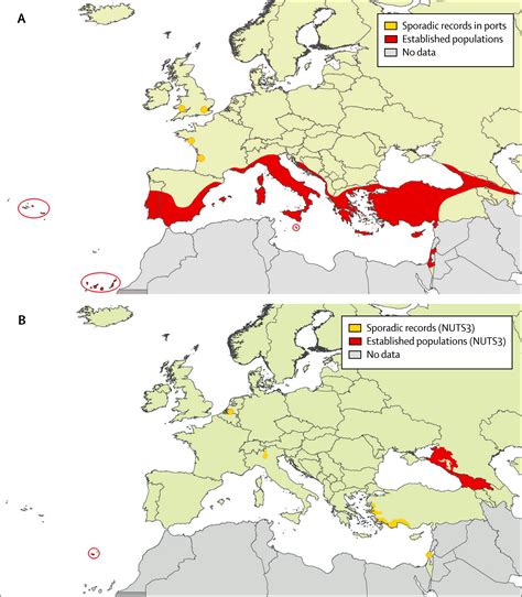 dengue fever in europe
