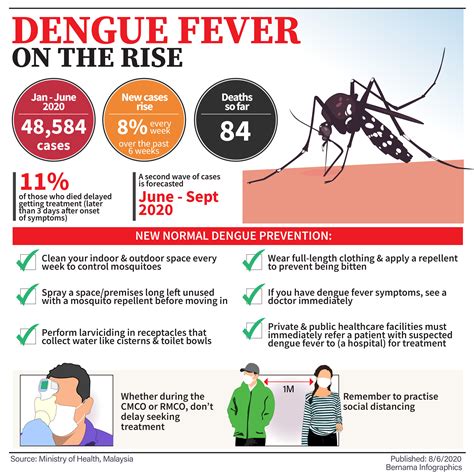 dengue fever in malaysia