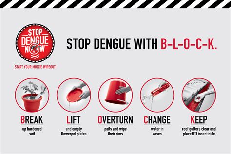 dengue fever in singapore