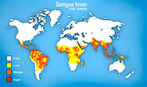 dengue fever map world