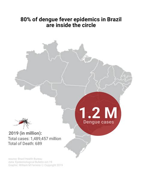 dengue fever outbreak brazil